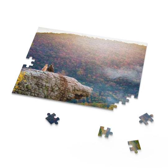 Whitaker Point Puzzle