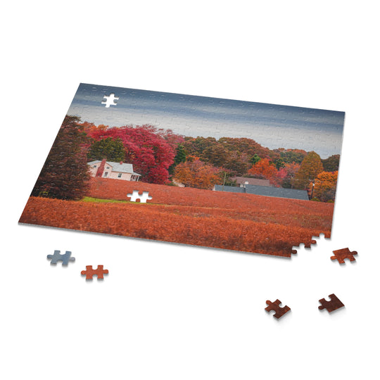Virgina Fall Day Puzzle