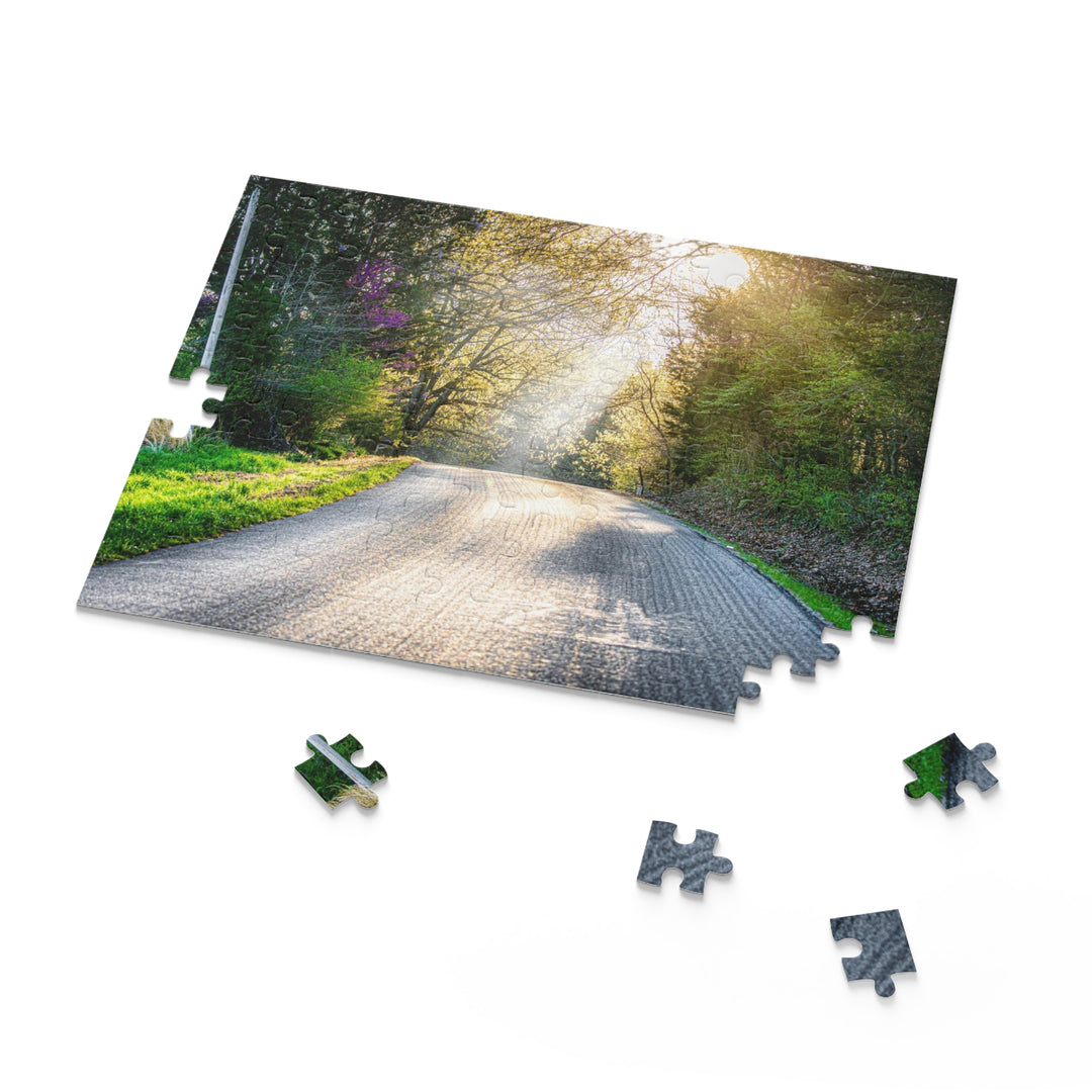 Spring Drive Puzzle