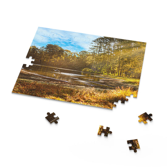 Tatum Pond Puzzle