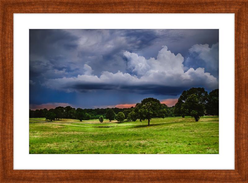 Fields of Color Frame