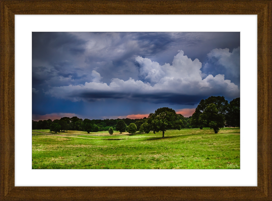 Fields of Color Frame
