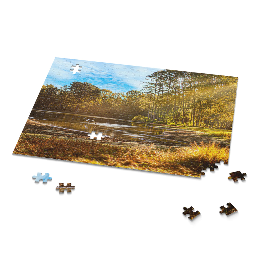 Tatum Pond Puzzle