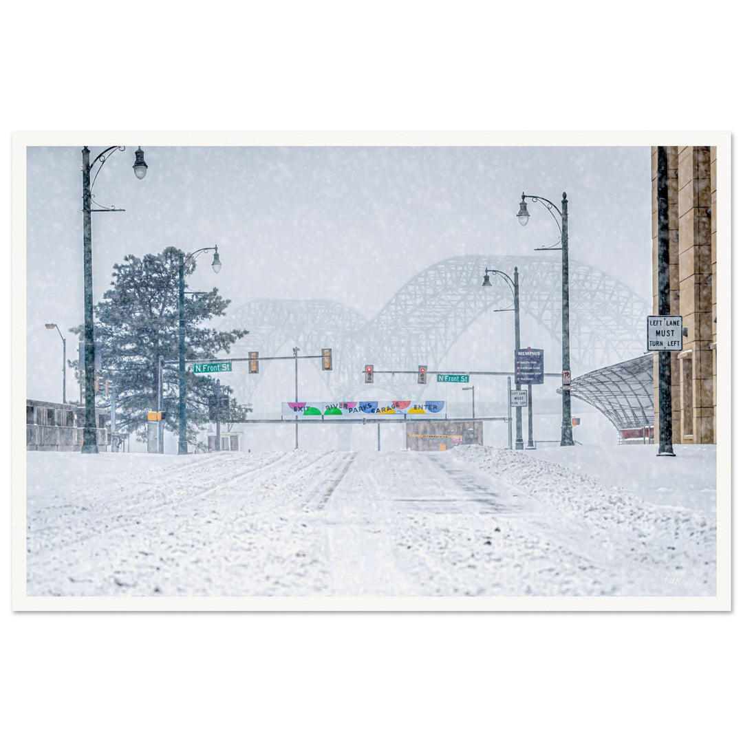 Snow on Poplar Print