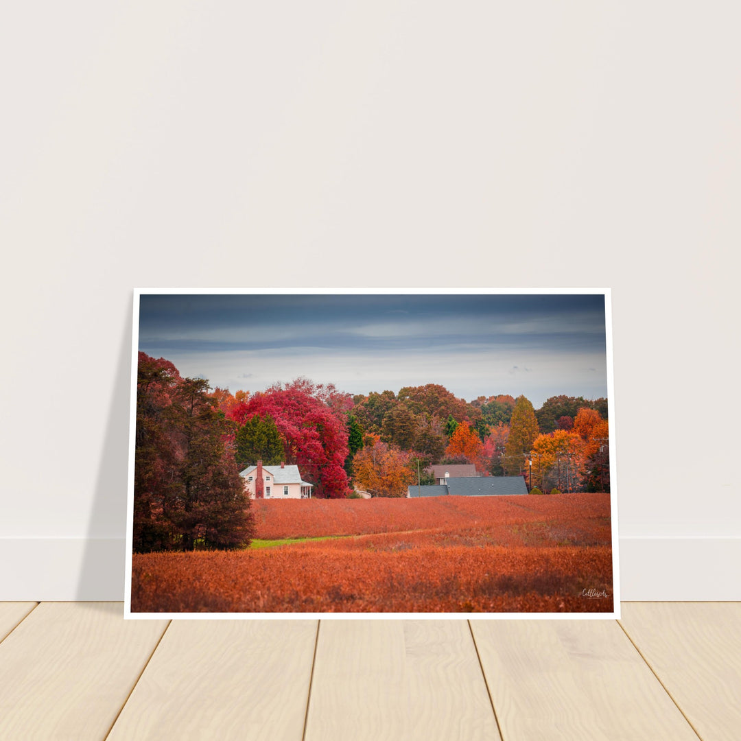 Virgina Fall Day Print