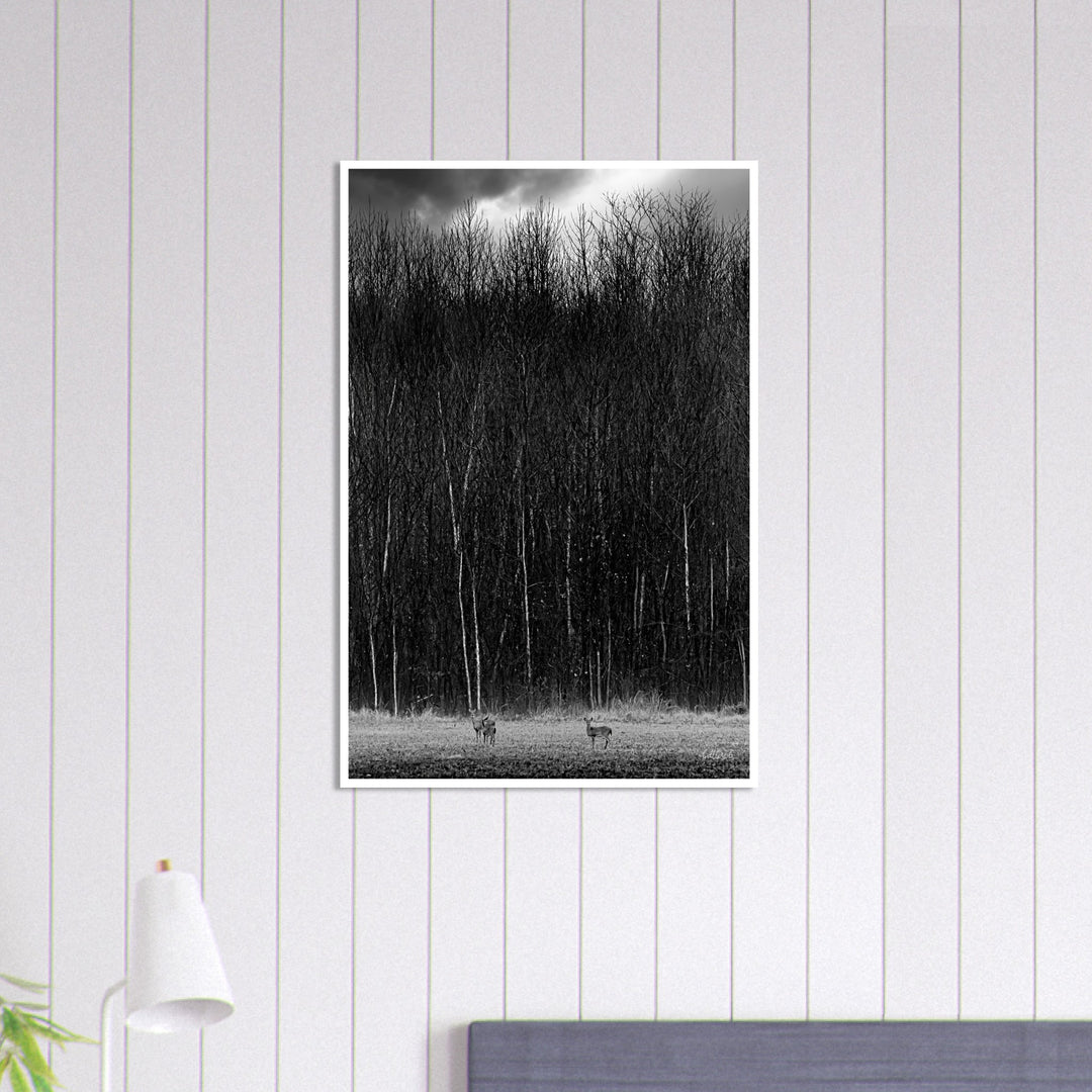 The Tall Trees Print