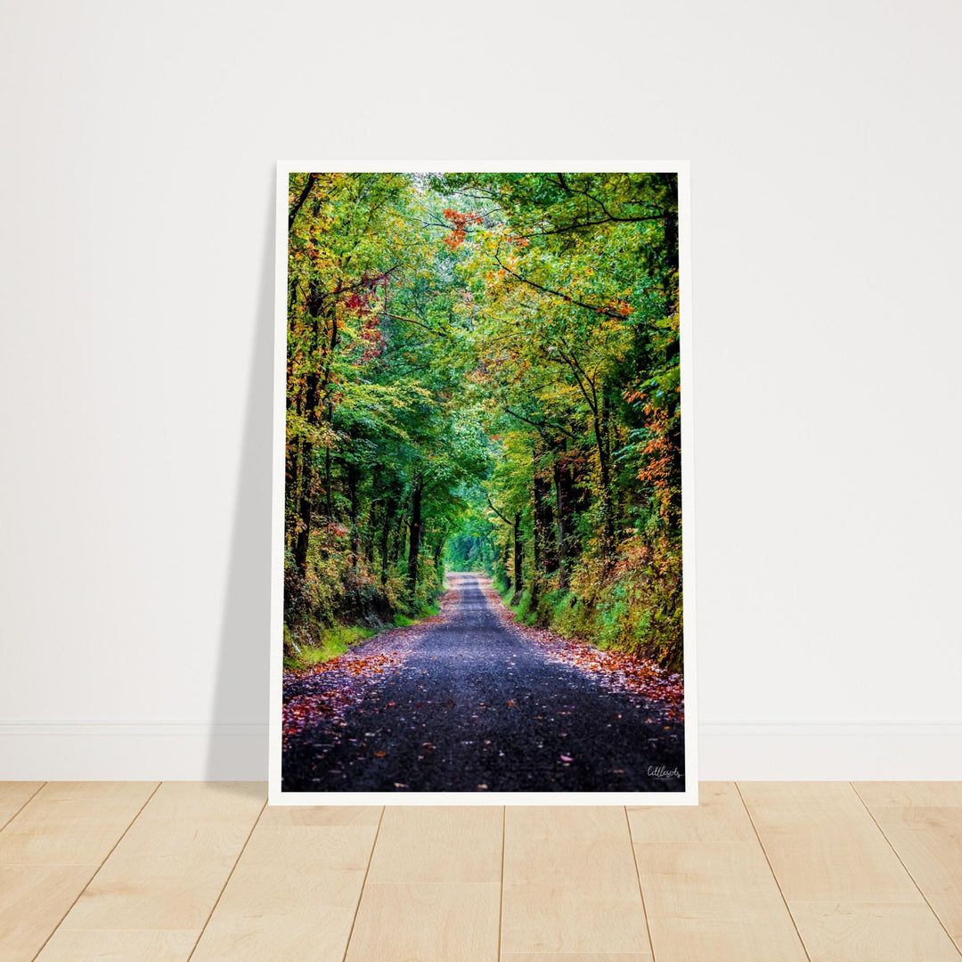 The Long Road Print