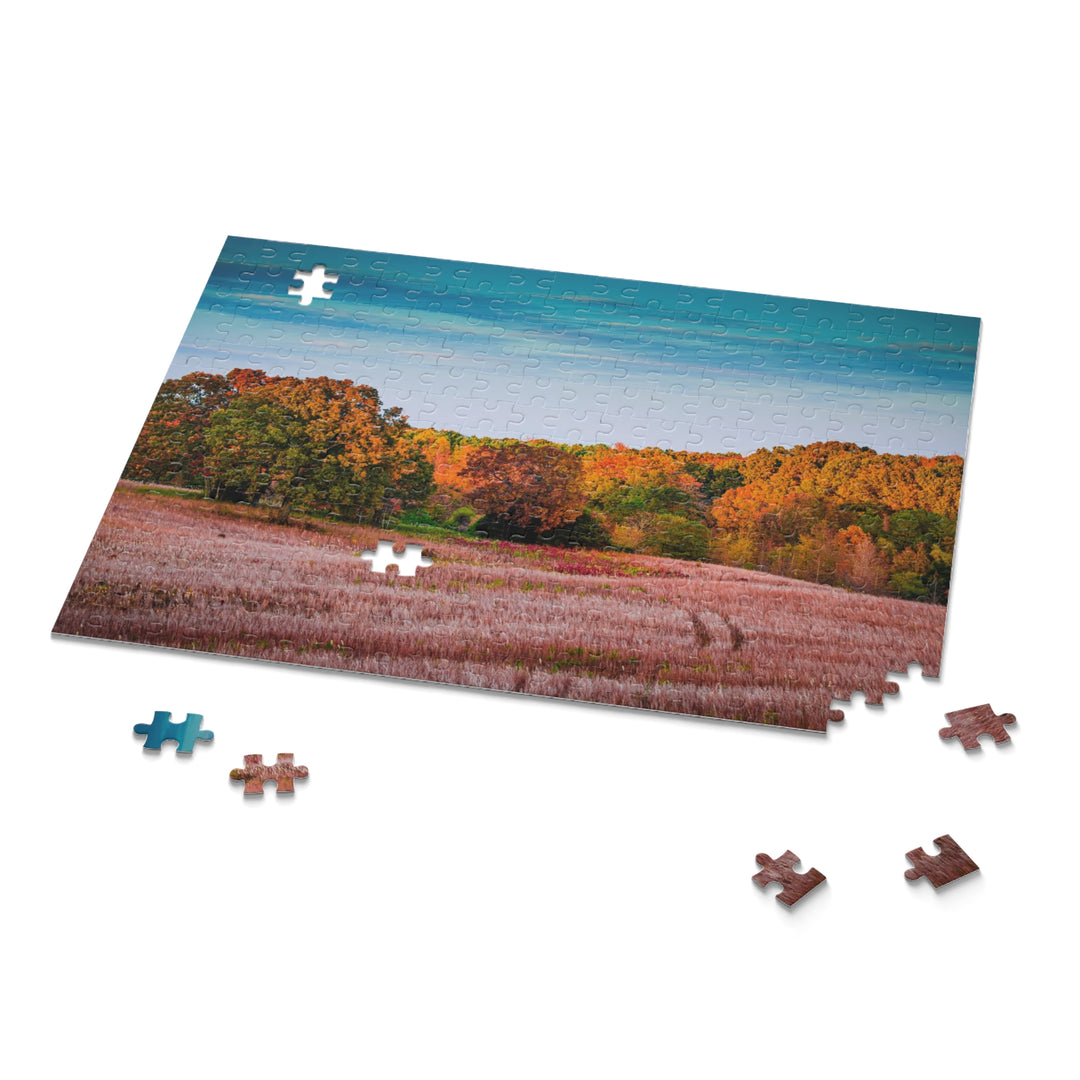 Colorful Land Puzzle