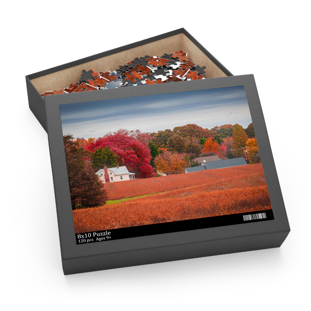 Virgina Fall Day Puzzle