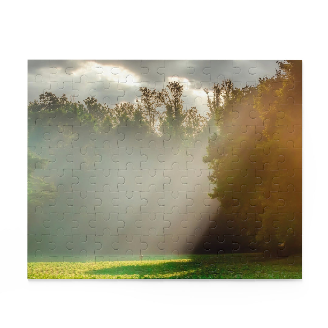 Morning Light Puzzle