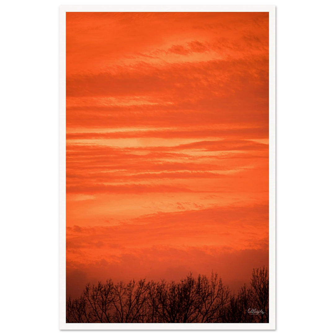 Orange Eads Print