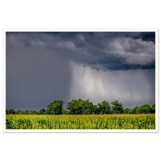 Ouachita Showers Print