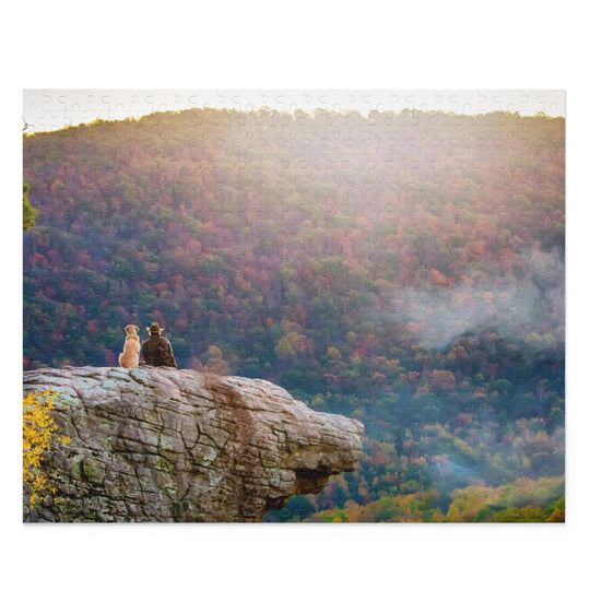 Whitaker Point Puzzle