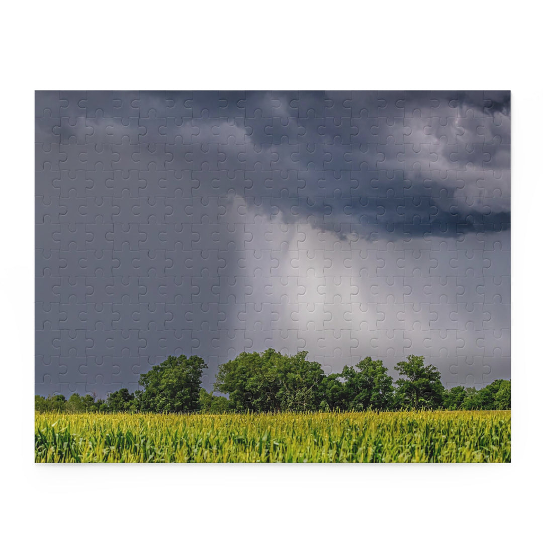 Ouachita Showers Puzzle