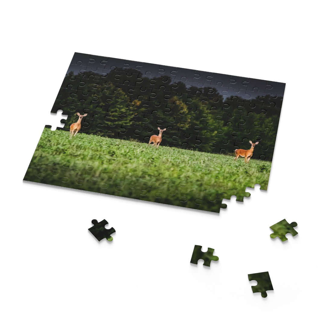 The Three Puzzle