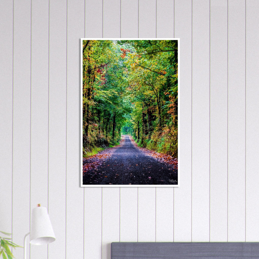 The Long Road Print