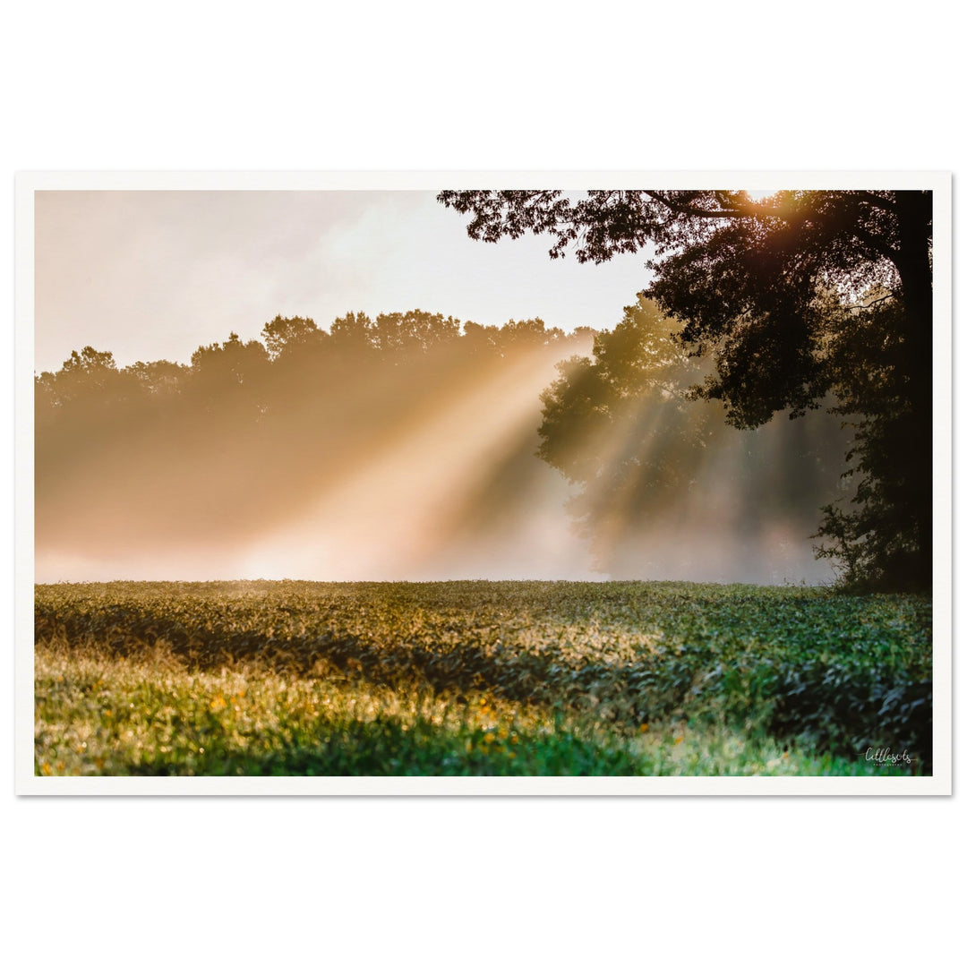 Rays of Hope Print