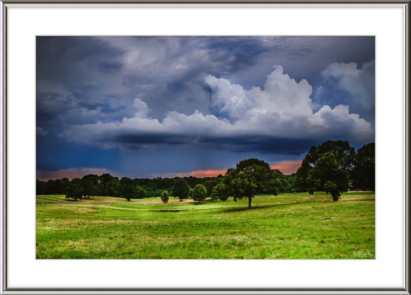 Fields of Color Frame