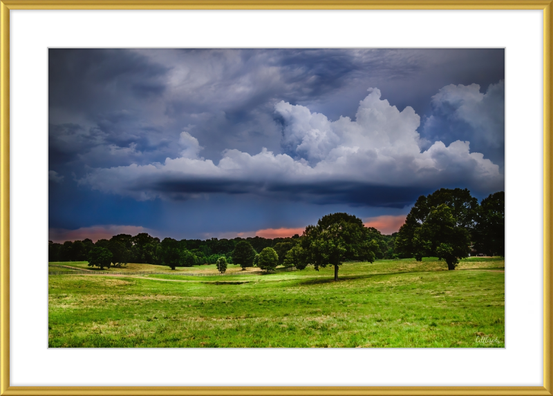 Fields of Color Frame