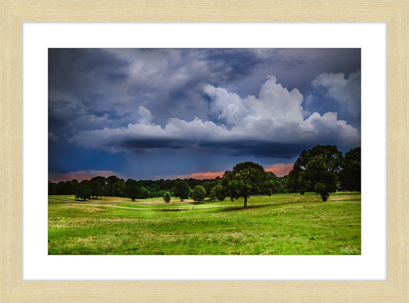 Fields of Color Frame