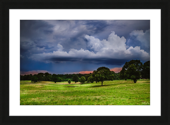 Fields of Color Frame