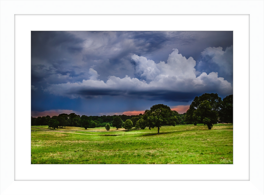 Fields of Color Frame