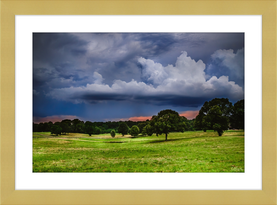 Fields of Color Frame