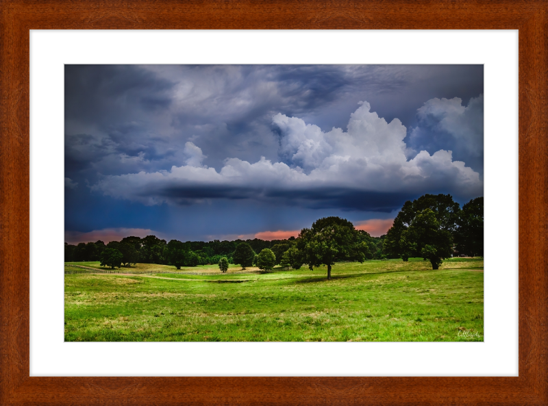 Fields of Color Frame