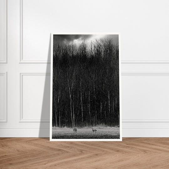 The Tall Trees Print