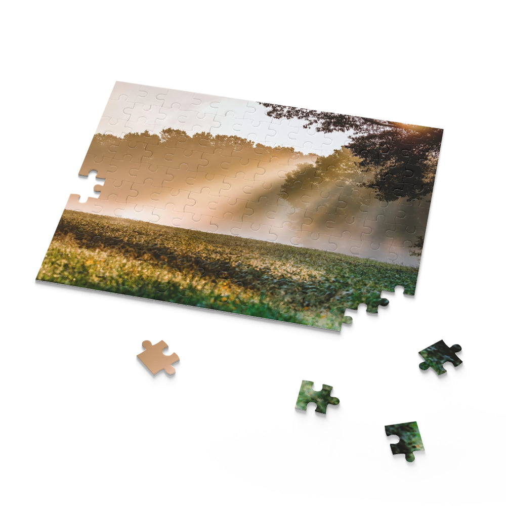 Rays of Hope Puzzle