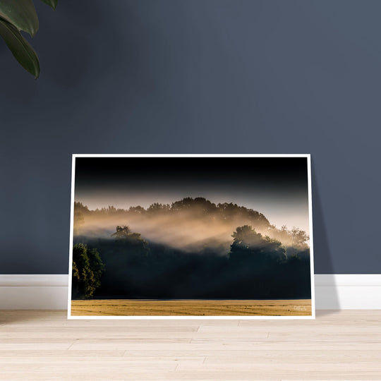 Morning Rays Print