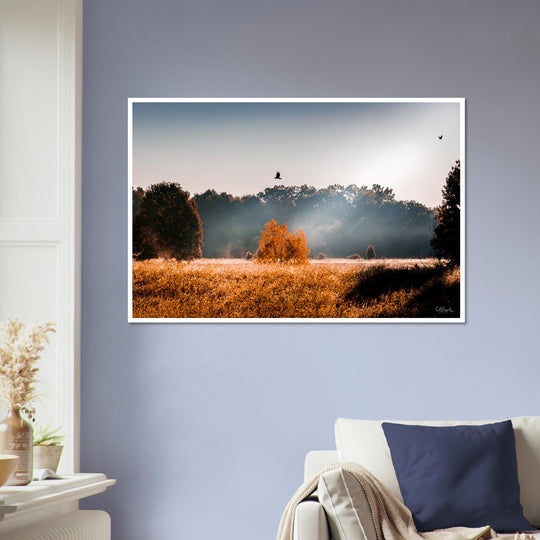 The Wild Print