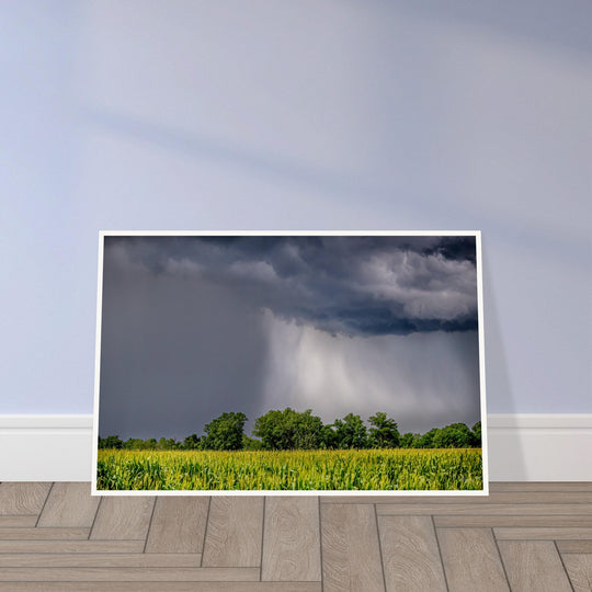 Ouachita Showers Print