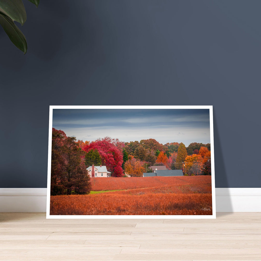 Virgina Fall Day Print