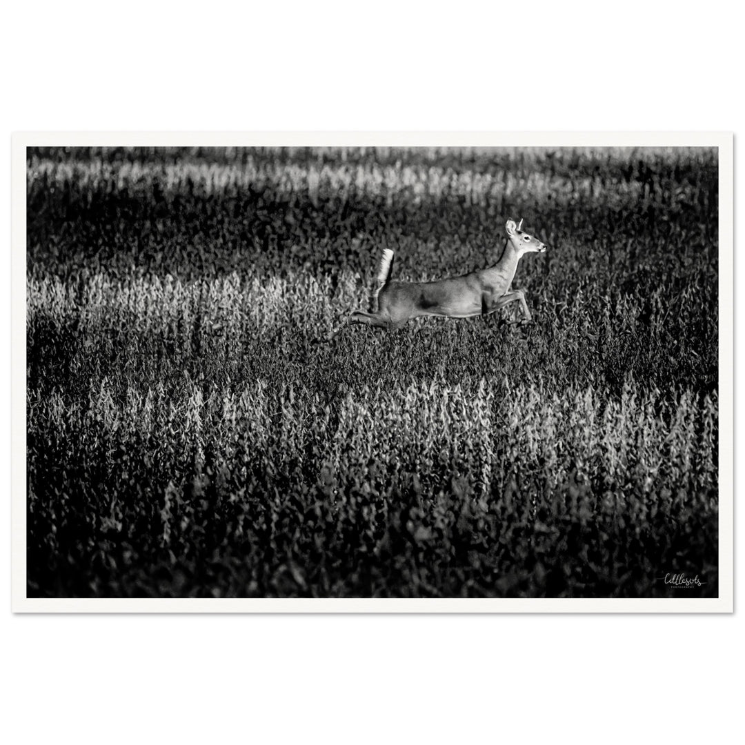 Deer on the Run Print