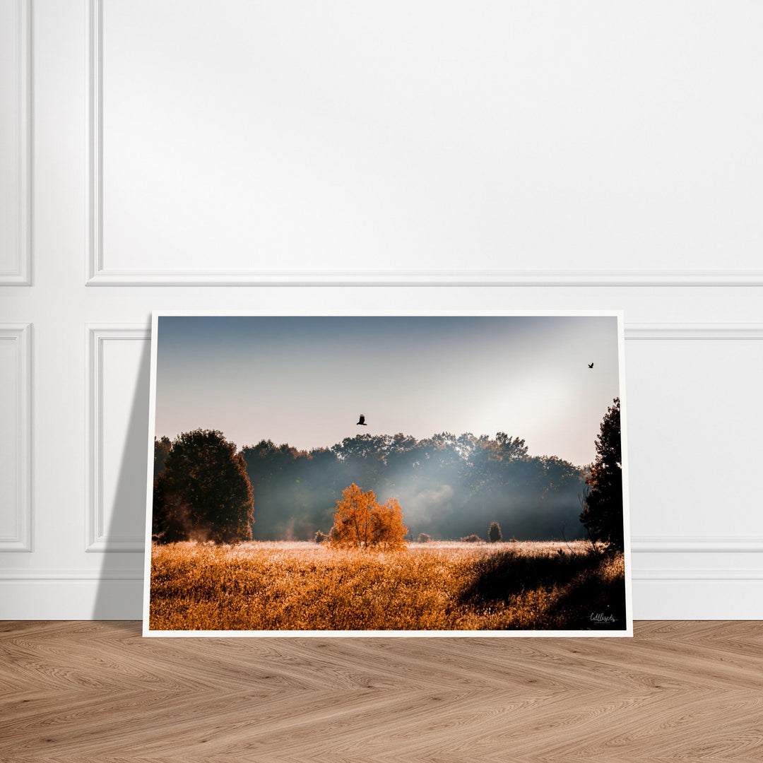 The Wild Print