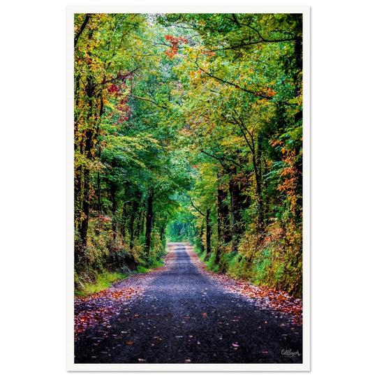 The Long Road Print