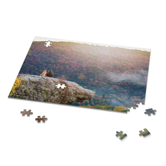 Whitaker Point Puzzle