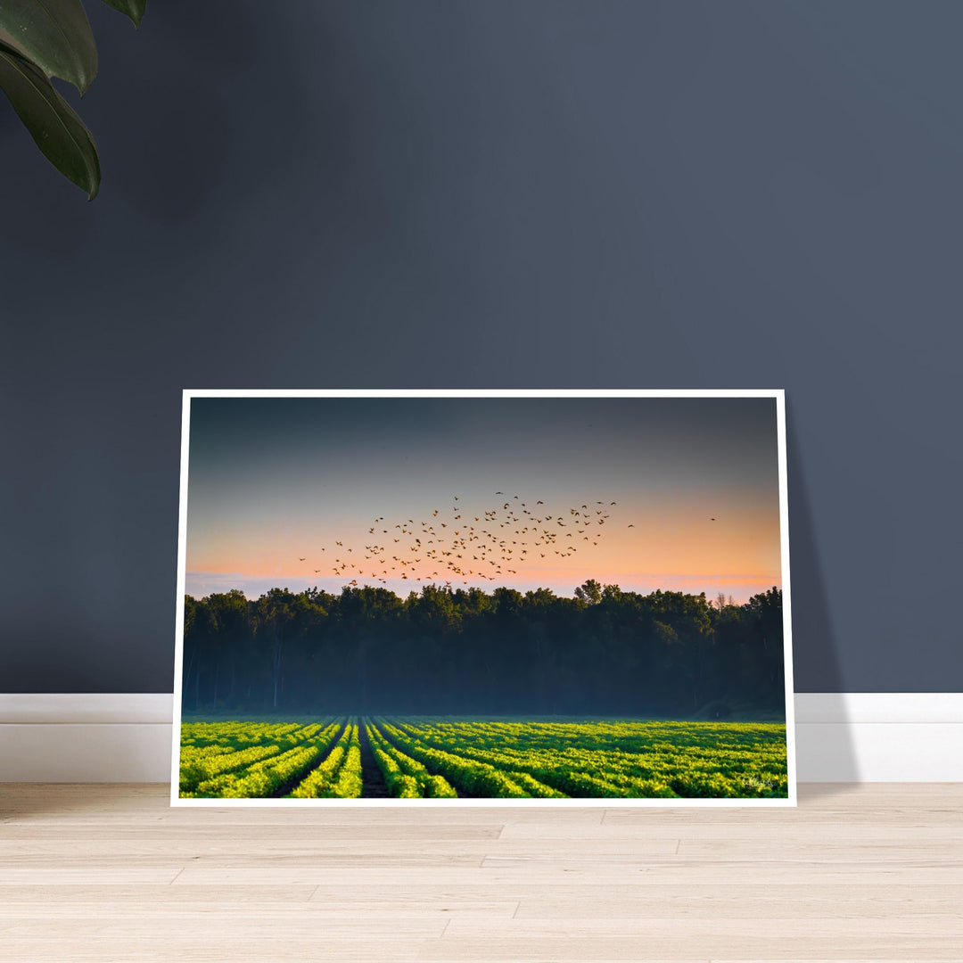 Small Town Farm Print