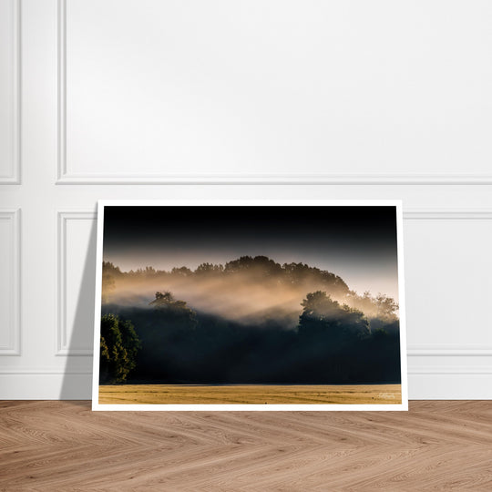 Morning Rays Print