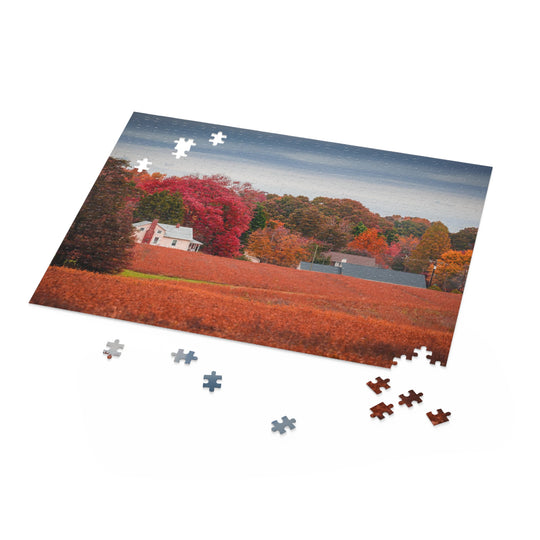 Virgina Fall Day Puzzle