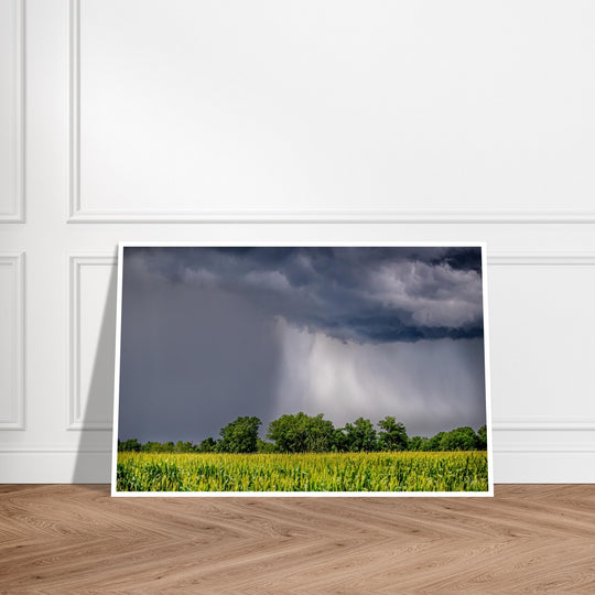 Ouachita Showers Print