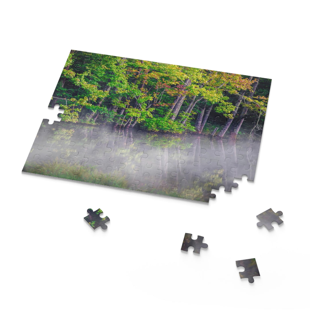 Silver Fall Puzzle