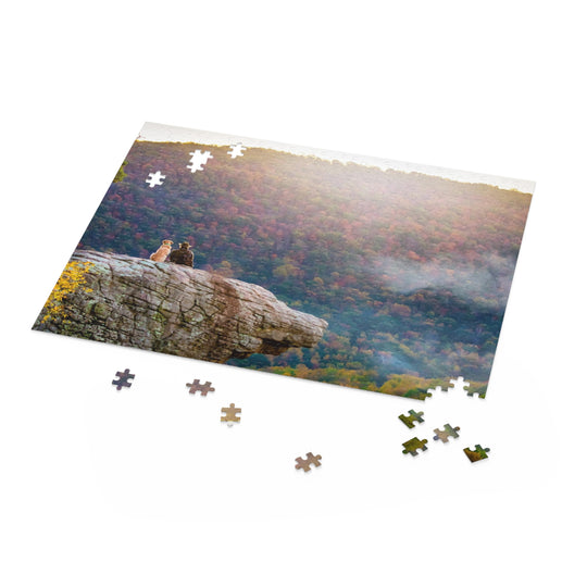 Whitaker Point Puzzle