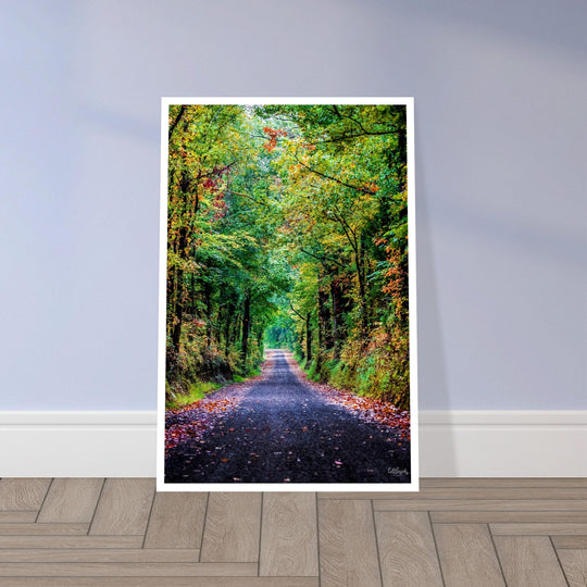 The Long Road Print