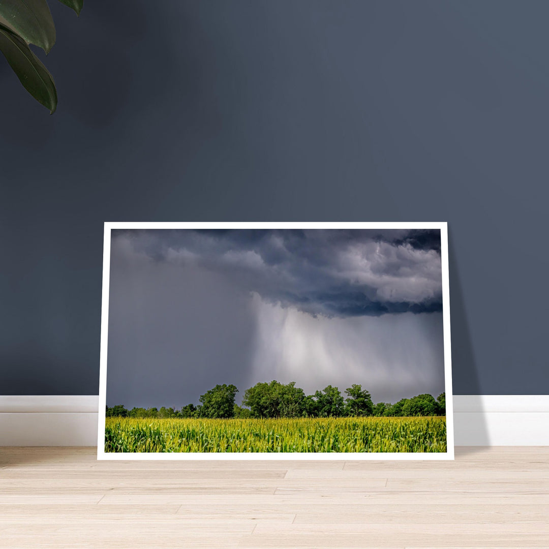 Ouachita Showers Print