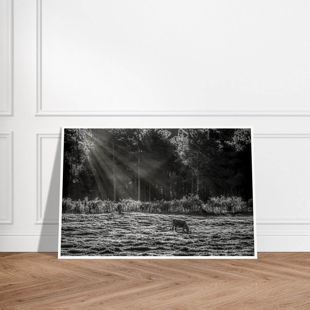 Barham Road Print