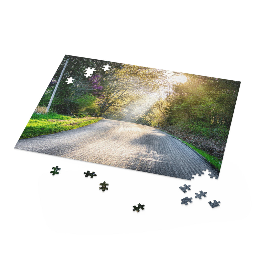 Spring Drive Puzzle