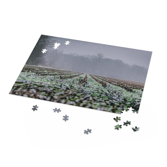 Frozen Farm Puzzle