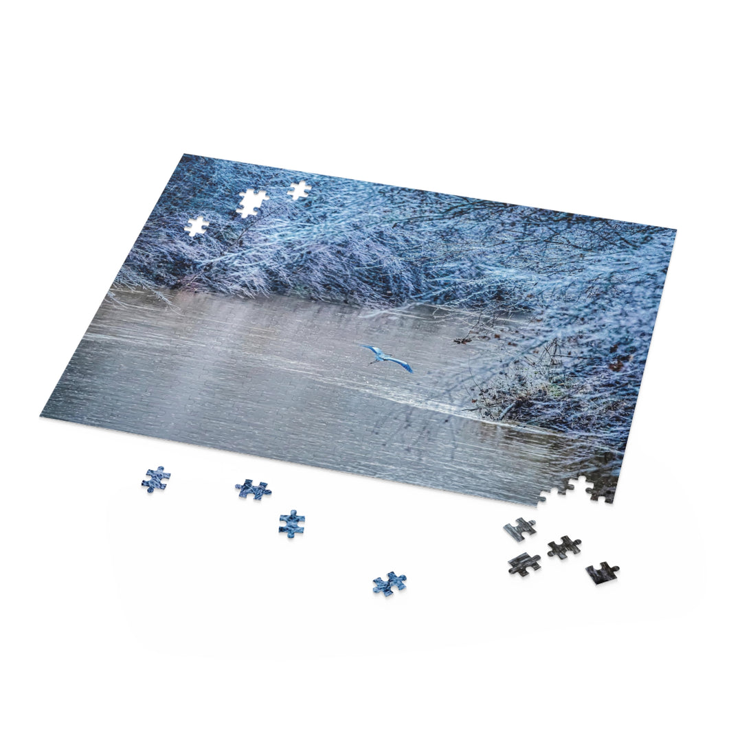 Frozen Atown Puzzle